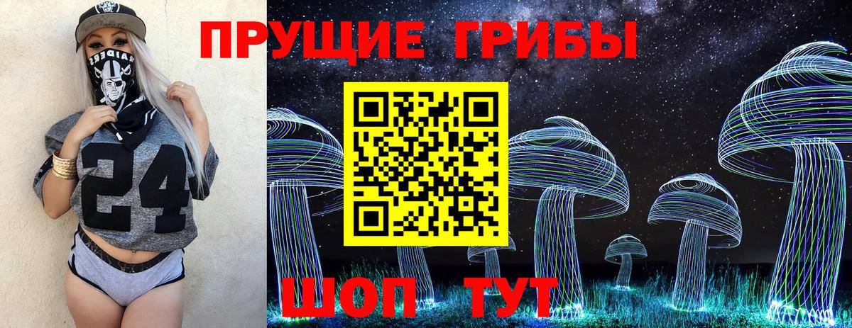 Галлюциногенные грибы прущие грибы Заинск