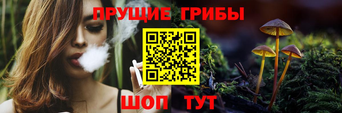 где найти   Вход с VPN  Заинск  Галлюциногенные грибы Magic Shrooms 