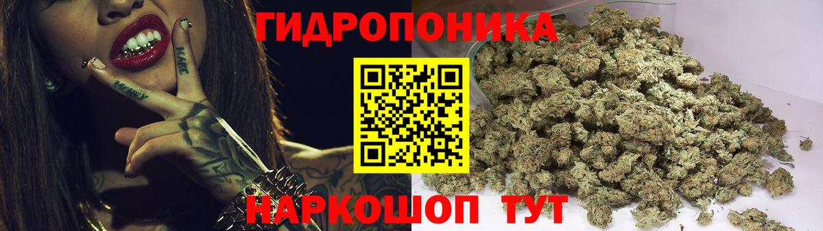 Бошки Шишки ГИДРОПОН  Вход с VPN  Бошки Шишки VHQ  Заинск  Каннабис MAZAR  Каннабис гибрид 